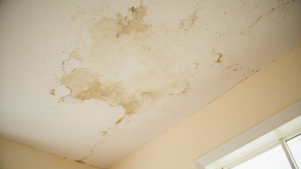 Dealing with shared roof problems when your neighb